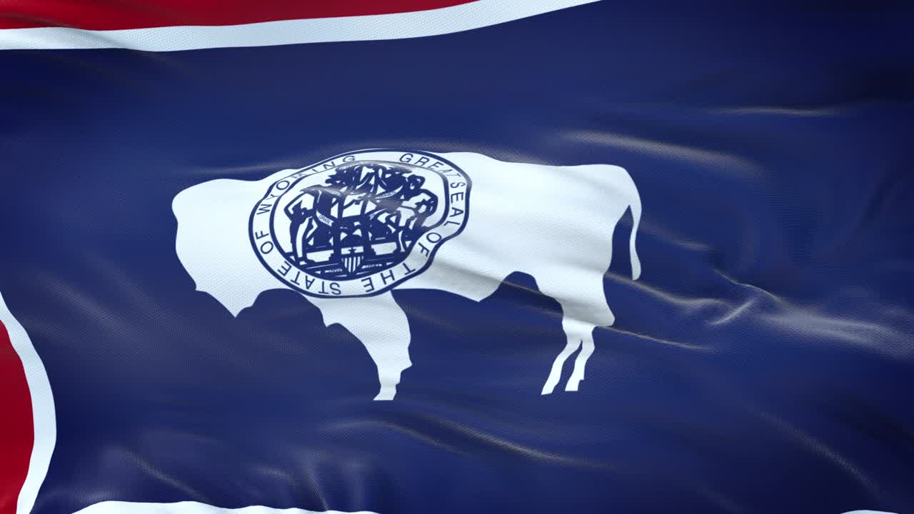 와이오밍 (미국 주) 발이 바람에 흔들리고 매우 상세한 직물 질감으로.