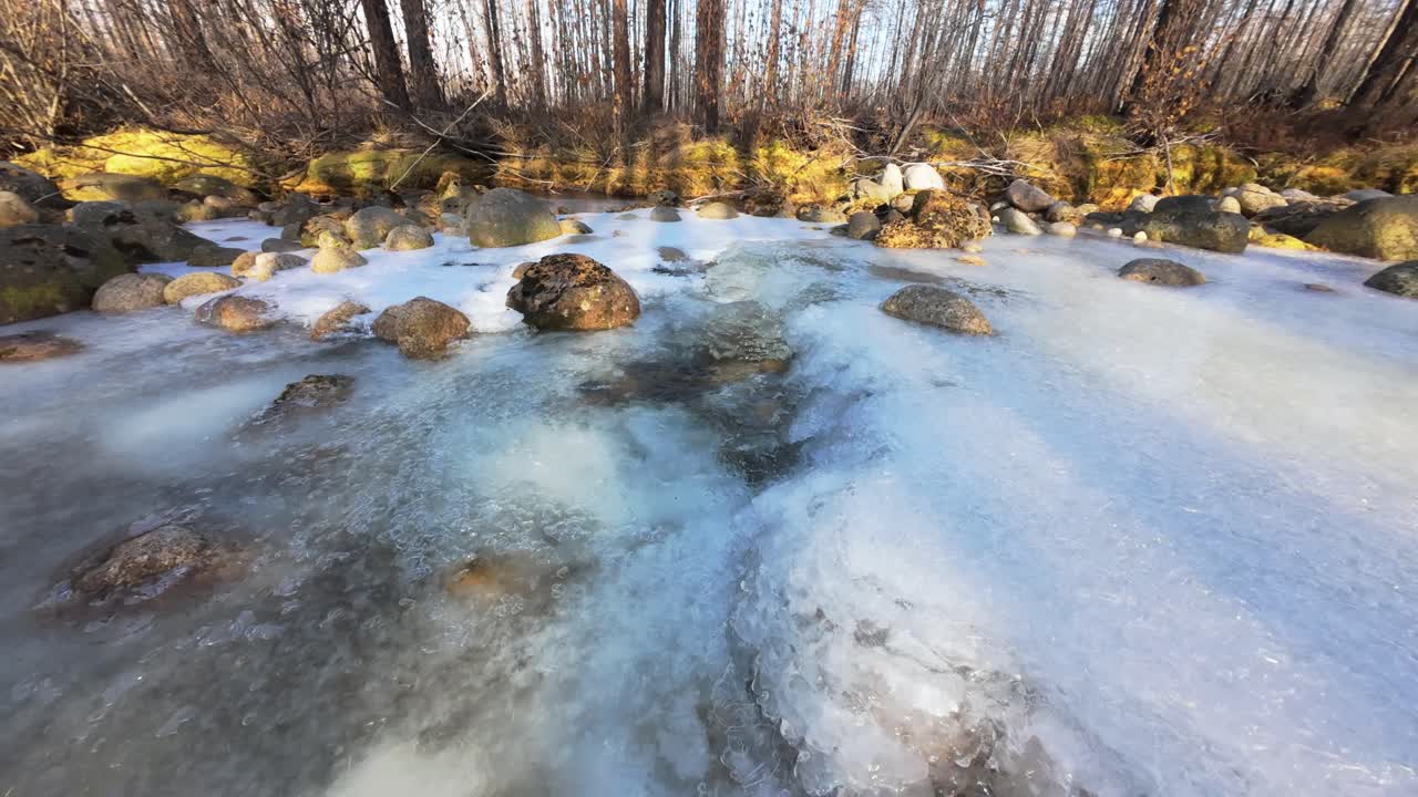 겨울 숲의 얼어붙은 강