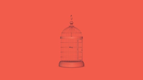 decorative birdcage 4k