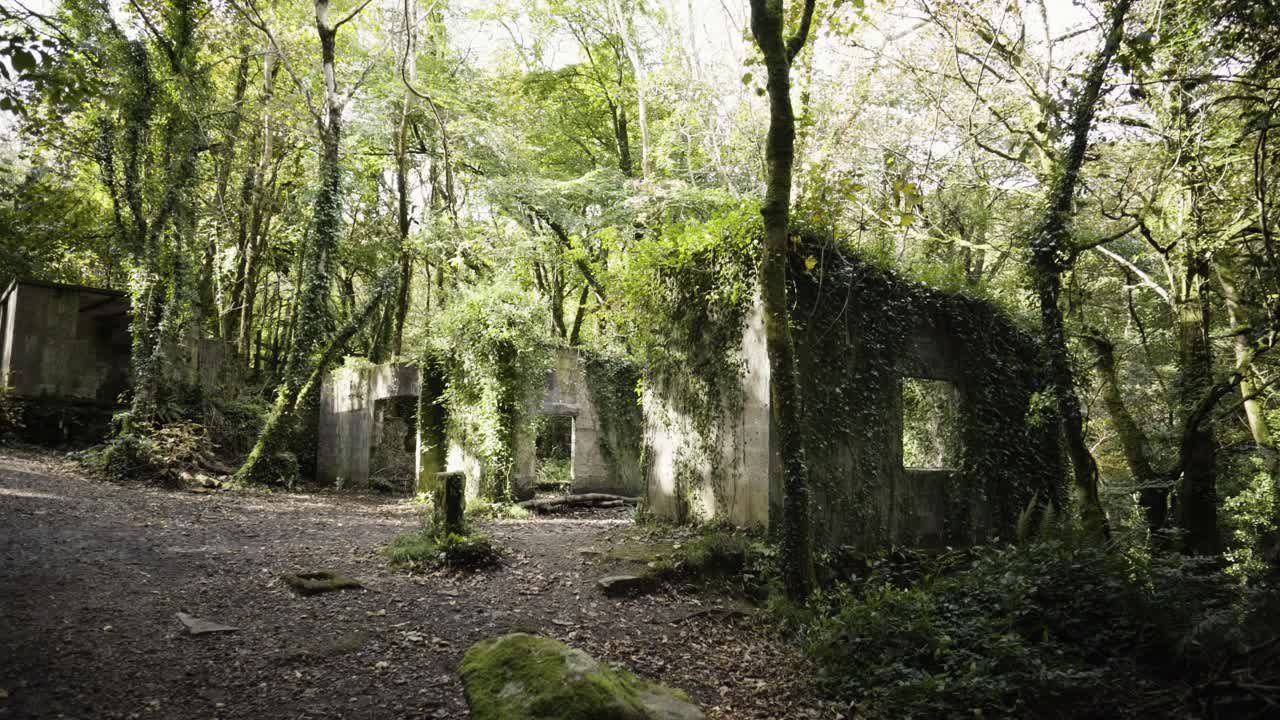 ruinas de un edificio abandonado dentro de la reserva natural de kennall vale, ponsanooth, inglaterra