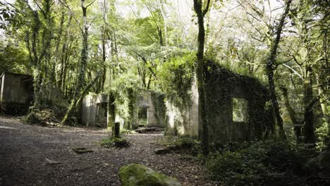 ruins of an abandoned building within kennall vale nature reserve, ponsanooth, england