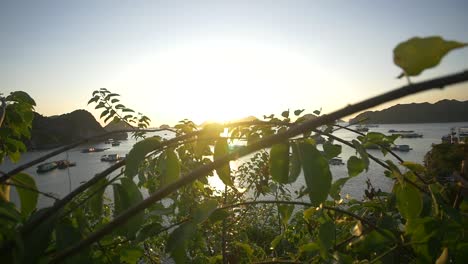 ha long bay at sunset