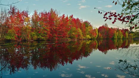 beautiful autumn trees reflected in calm lake under the blue sky, north america, quebec, montreal, canada.