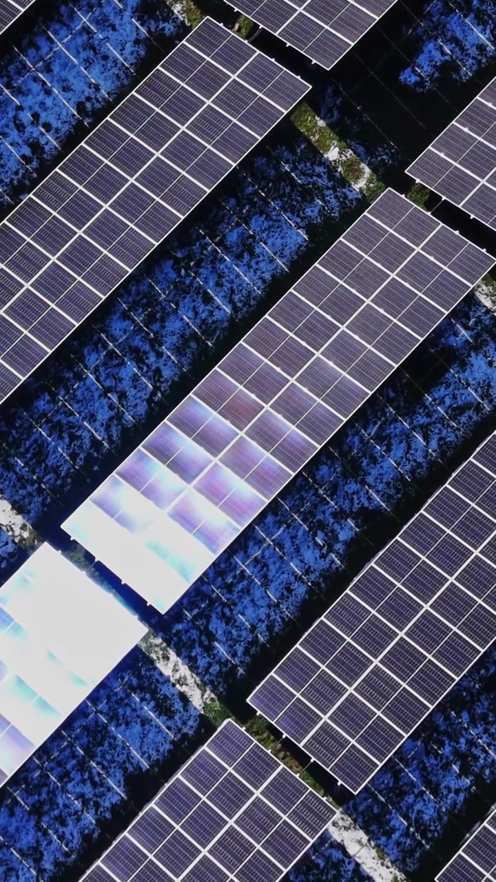 Pannelli solari coprono il terreno di giorno in un progetto di energia pulita.