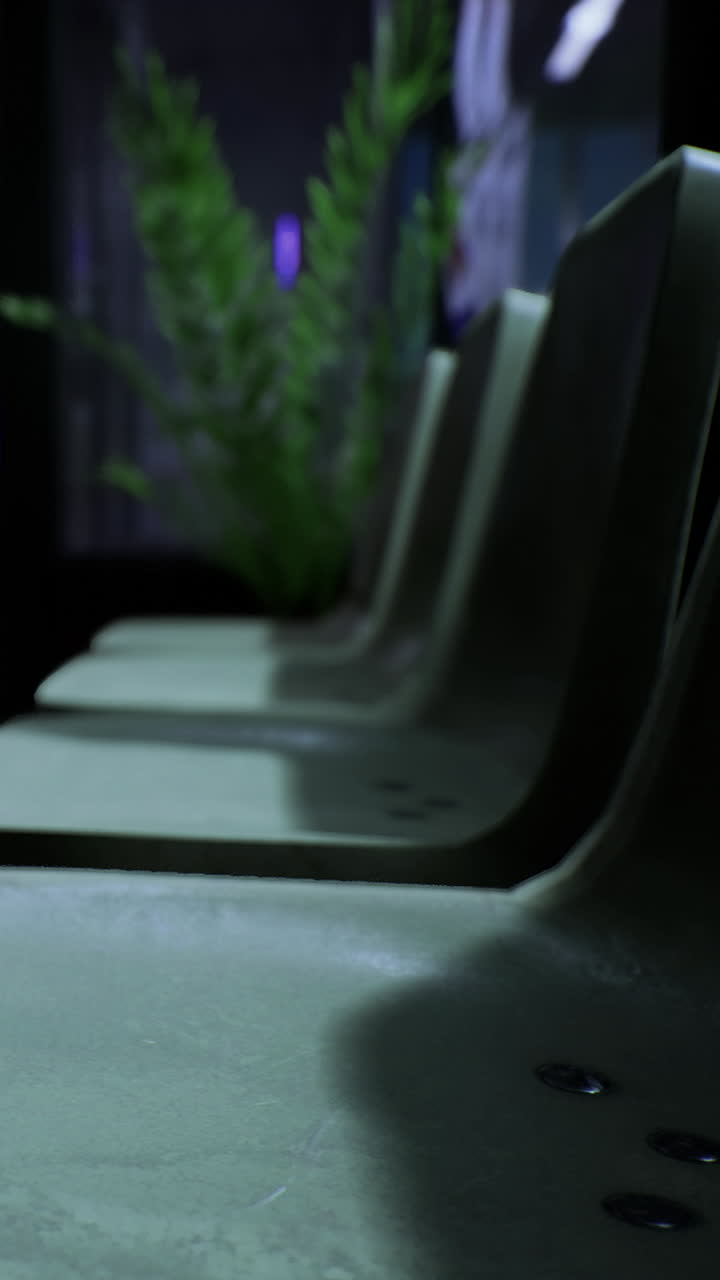 Seating area features empty chairs with plants in background at evening time