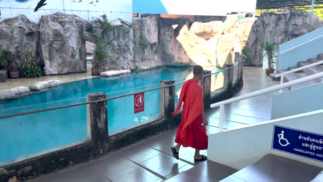 monk walking near a large aquarium display.