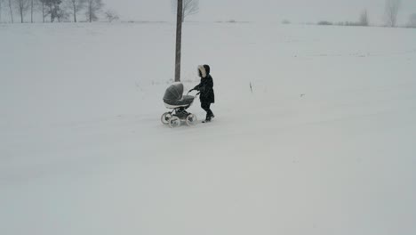 female in black winter coat walk on snowy countryside road with baby carriage