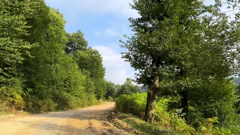 road trip highlander drive adventure in forest highland offroad tour in mountain in iran natural landscape wide view scenic shot wonderful panoramic iconic tree in hyrcanian nature gilan cloudy sky