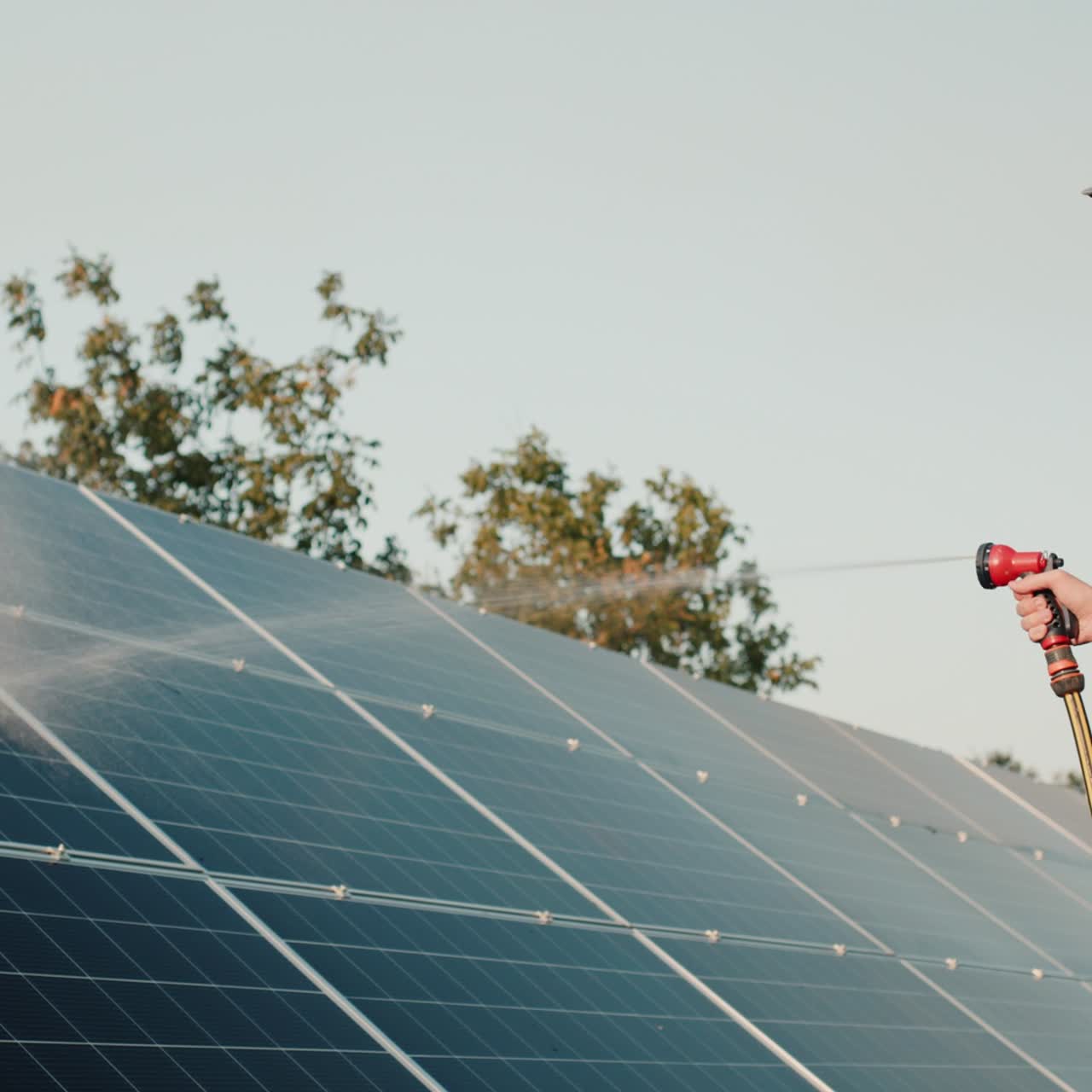 joven lava paneles solares