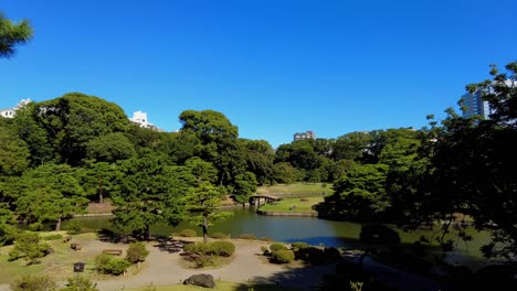 el hermoso parque de tokio.