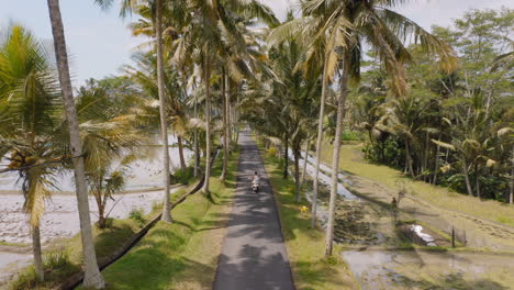 aerial view travel couple riding motorbike on tropical island with rice fields enjoying vacation road trip on motorcycle