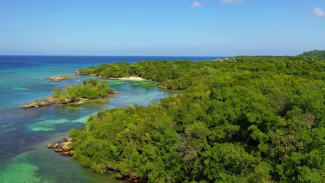 Sensational-seaside-above-view-of-green-trees-on-edge-of-vast-blue-ocean-sea-water-on-bright-sunny-day,-rising-aerial