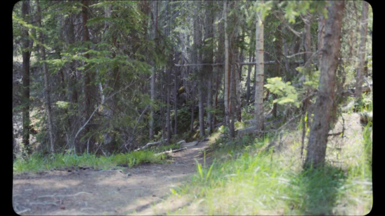 Camminare sul sentiero nel bosco