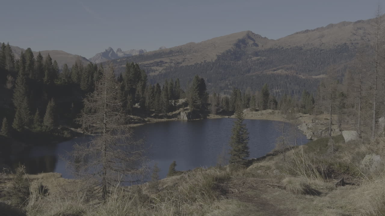Alpine Lake in a Mountain Forest