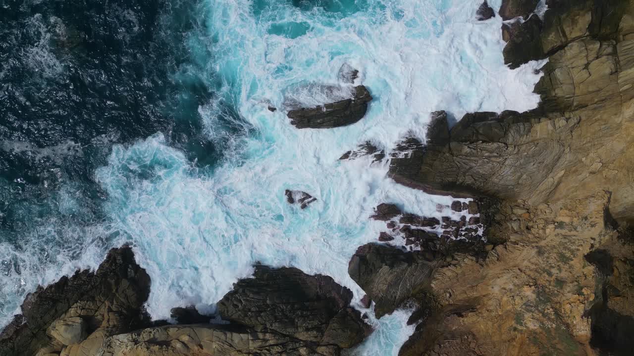 Tour con drone di Punta Cometa: la fauna selvatica da una nuova prospettiva, Mazunte, Messico.