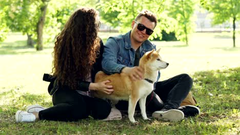 happy friends girl and guy are caressing adorable dog, talking and smiling while sitting in the park together wearing sunglasses. nature, people and animals concept.