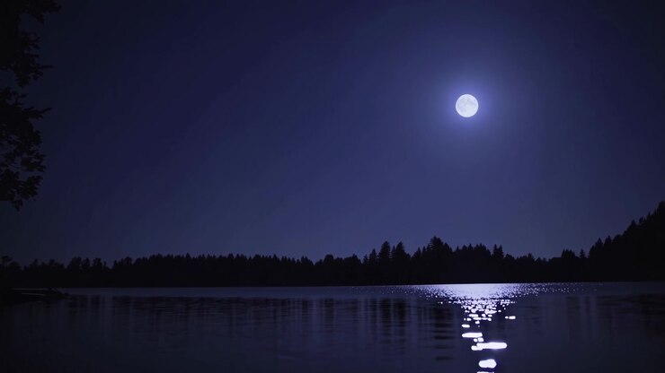 Luna piena che si riflette su un lago calmo di notte con la silhouette di una foresta