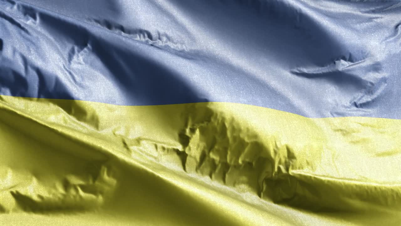 우크라이나 섬유 발은 바람의 에 흔들리고, 우크라이나 발이 바람에 흔들리는, 직물 섬유 조직은 완전히 채우는 배경, 10 초