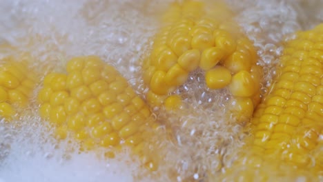 corn cobs in boiling hot water. maize has become a staple food in many parts of the world, with the total production of maize surpassing that of wheat or rice.