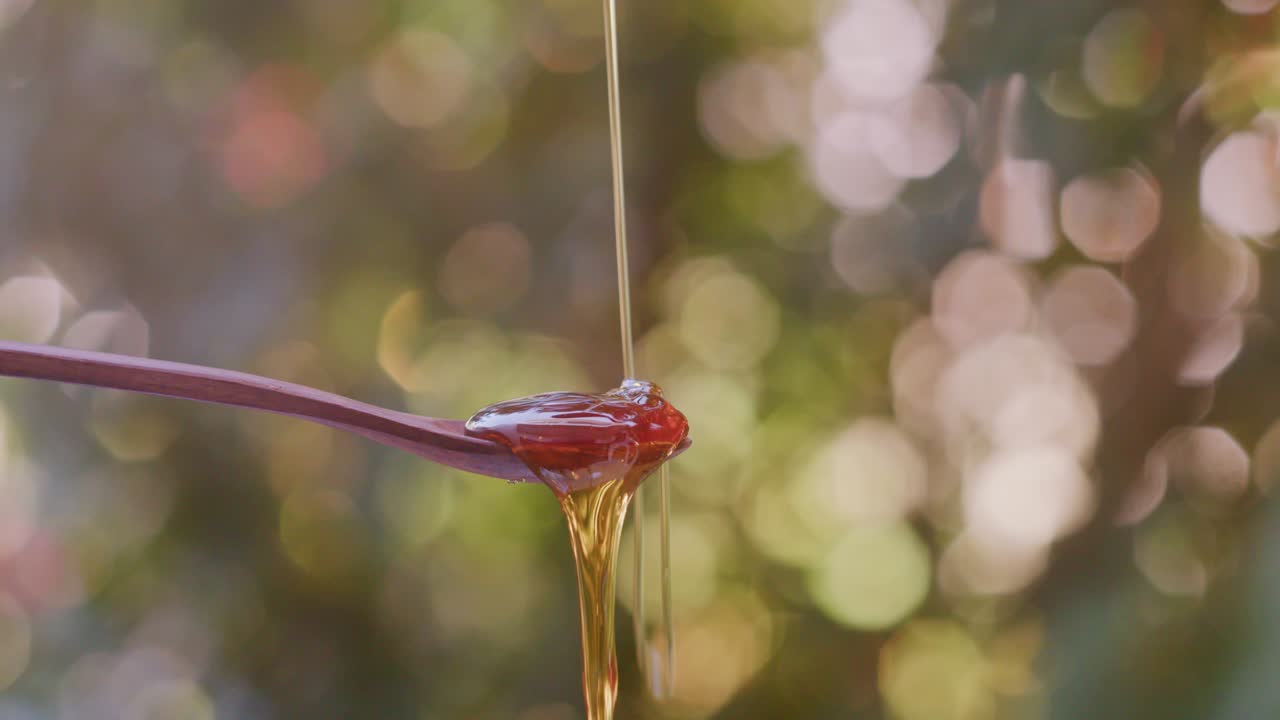 Miele che cola da un cucchiaio di legno con bellissimi cerchi bokeh verdi