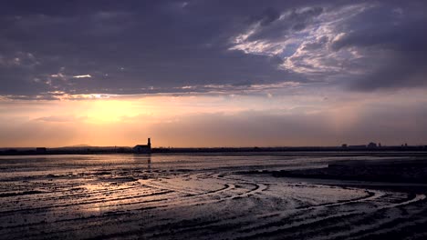 Schönes-Licht-Reflektiert-Von-Reisfeldern-Und-Reisfeldern-In-Der-Nähe-Von-Albufera-Spanien-7