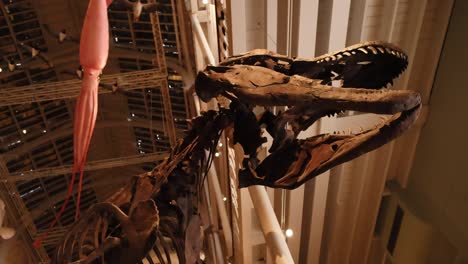 t-rex skeleton displayed in museum exhibit