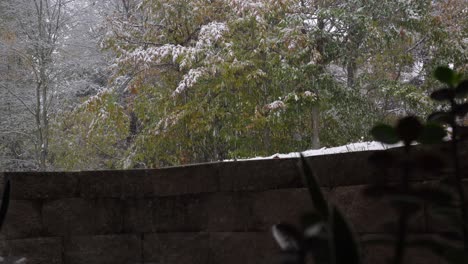 First-snowfall-of-the-year-lightly-falling-over-pine-trees-as-seen-from-a-basement-window-on-a-cold-winter-day