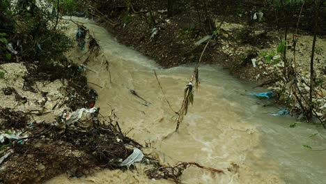 dirty water meets cleaner water in a trash-filled creek