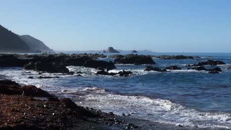 rocas costeras y algas abundan en la reserva marina en un hermoso día claro - costa de kaikoura