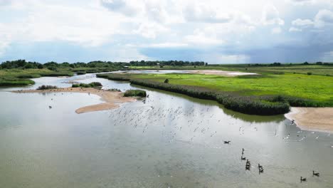 Un-Vídeo-Aéreo-Captura-El-Encanto-De-Las-Marismas-De-Agua-Salada-En-La-Costa-De-Lincolnshire,-Con-Aves-Marinas-En-Vuelo-Y-Descansando-En-Las-Lagunas-Y-Lagos-Interiores.