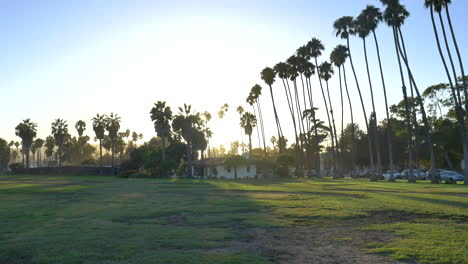 mirando alrededor de la playa en chase palm park con palmeras en silueta contra una brillante puesta de sol en la hermosa ciudad de santa barbara, california