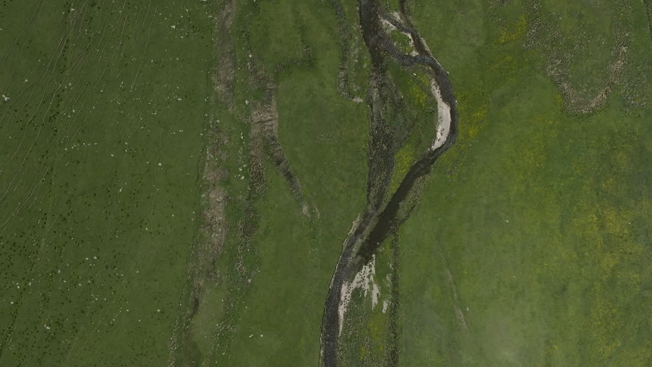 arroyo que fluye en la reserva administrada ktsia-tabatskuri con prados verdes en georgia