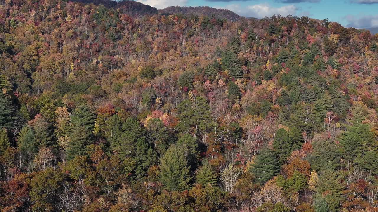 Drone view of colorful trees in his and mountains