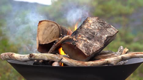 smoke blowing gently in wind from fireplace in metal pan during hiking trip - shallow focus with blurred nature background - stating outdoor closeup tripod shot