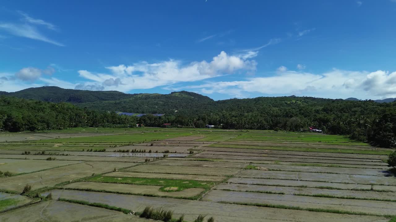 ฟุตเทจทางอากาศจากโดรนของทุ่งนาสีเขียวใน Odiongan บนเกาะ Tablas ประเทศฟิลิปปินส์ แสดงให้เห็นพื้นที่เพาะปลูกที่มีภูเขาและเนินเขาสลับซับซ้อนเป็นพื้นหลังในวันที่แดดจ้า