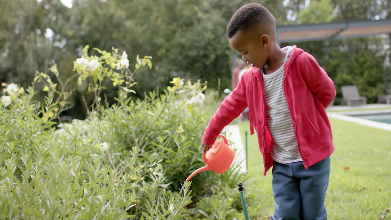 niño afroamericano regando plantas en un jardín soleado en cámara lenta