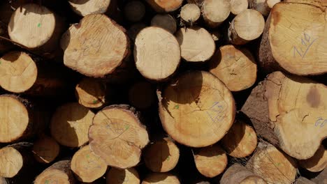 stack of wood logs