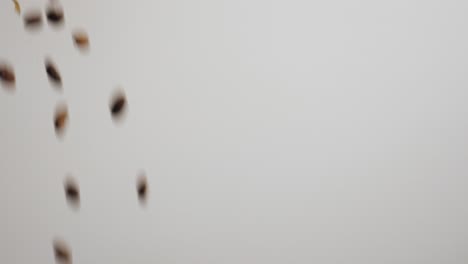pouring coffee beans out of the bag across the screen