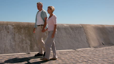 senior couple walking and holding hands on sunny day