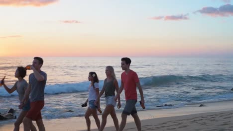 group of friends walking on the beach 4k