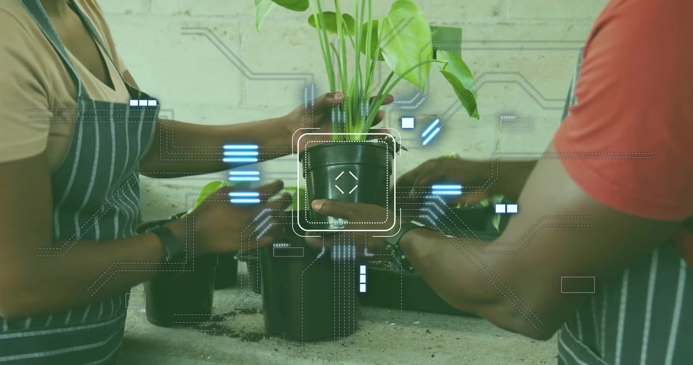 Man handing trowel while woman scooping soil from tray into pot then inserting seedling in garden