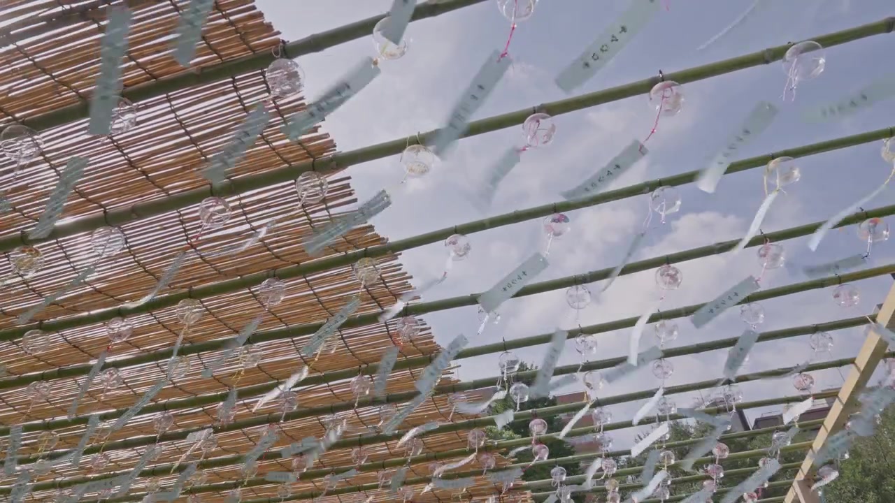 Rows of furin chimes and fluttering paper strips stretch across bamboo poles, set against an open sky in this upward angled festival shot.