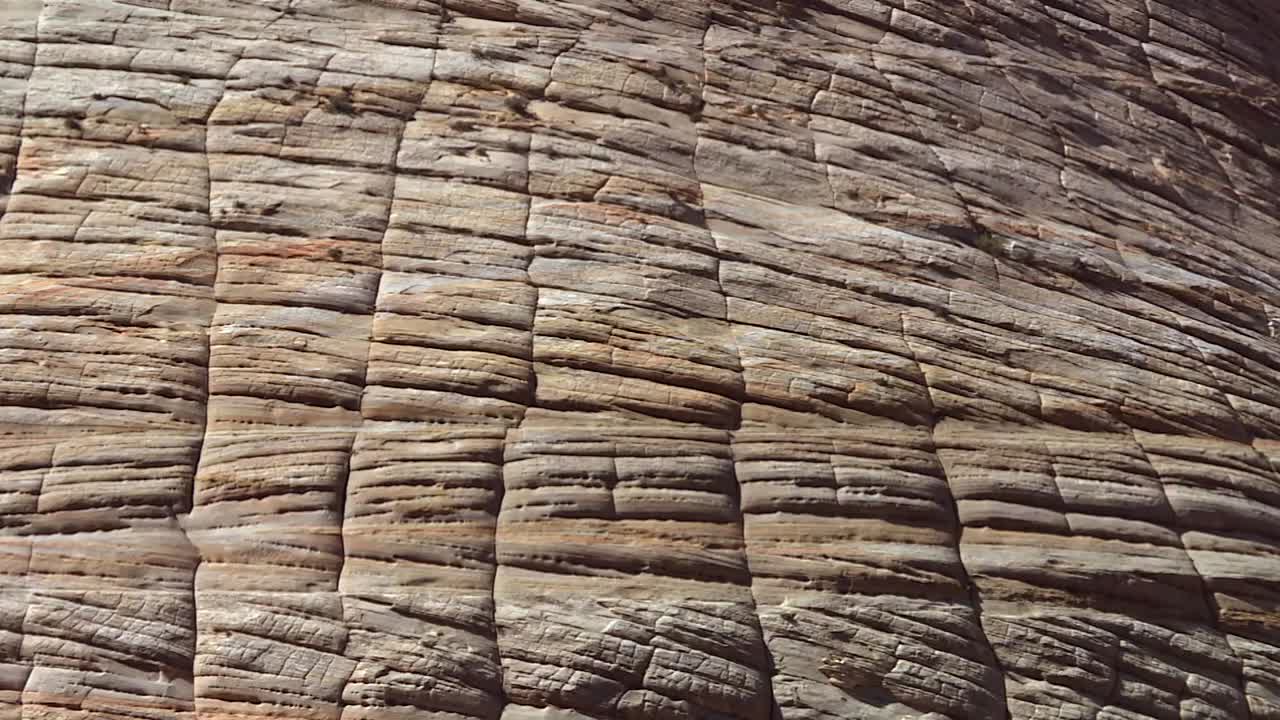 la erosión de arenisca se agrieta en una formación rocosa en el árido parque nacional zion