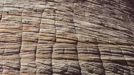 sandstone erosion cracks on rocky formation in arid zion national park