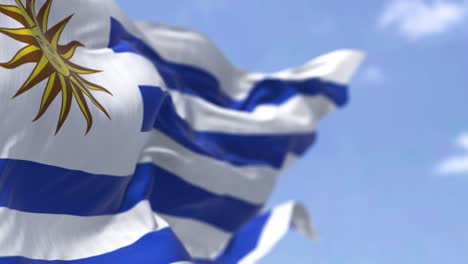 detail of the national flag of uruguay waving in the wind on a clear day