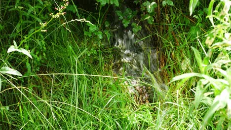 Pequeña-Cascada-Que-Corre-A-Través-De-La-Vegetación-Verde