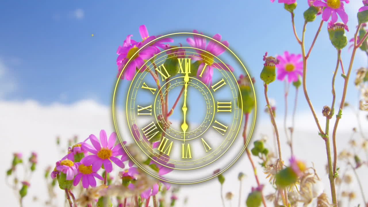 Clock animation over vibrant pink flowers against clear blue sky