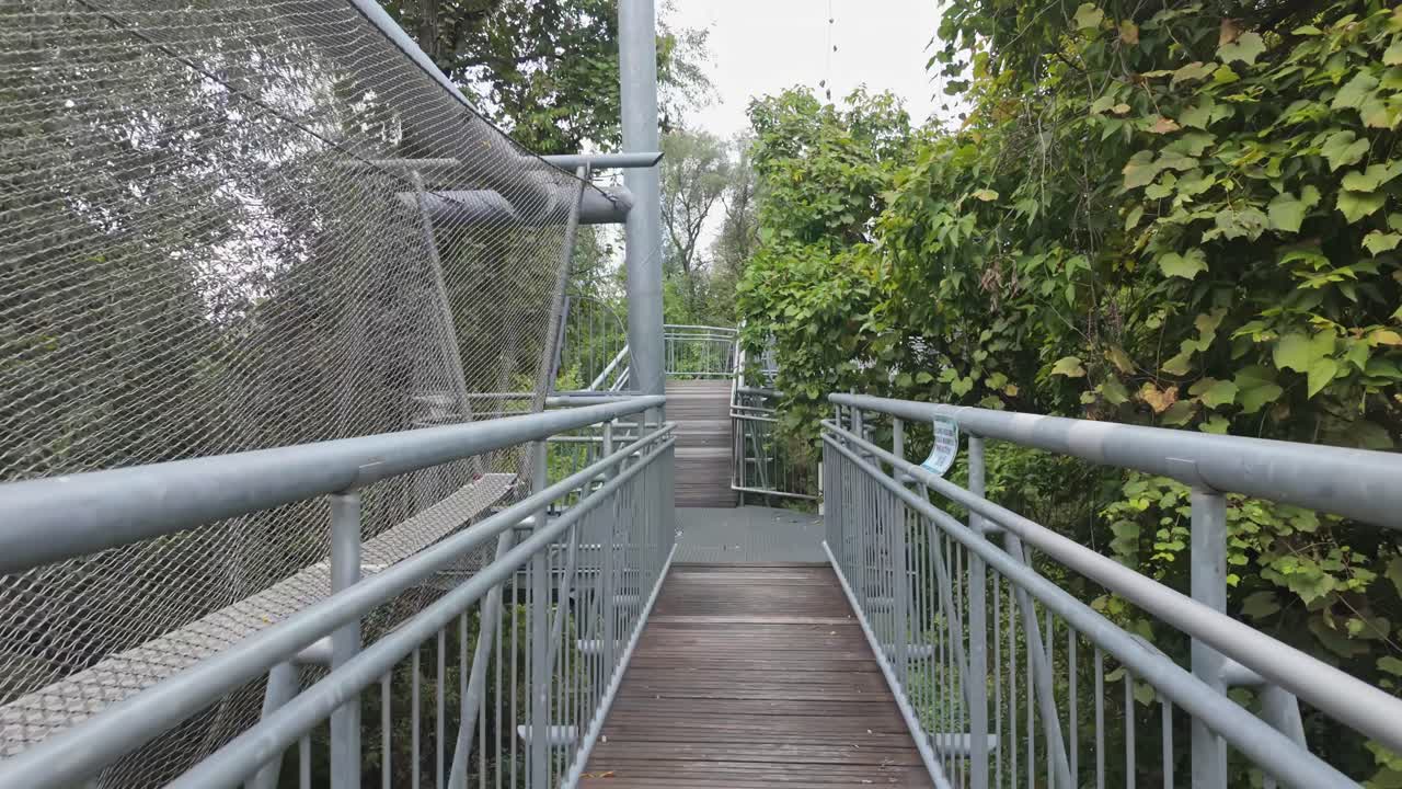 A treetop walkway through a lush forest