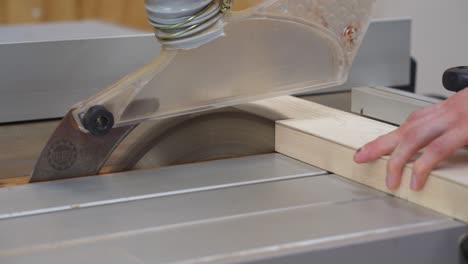 Cutting-piece-of-maple-wood-on-table-saw