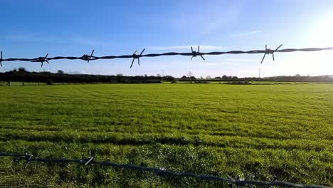 panoramic view across barbed wire fenced vibrant green farmland with idyllic glowing sunrise skyline